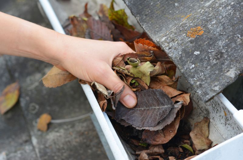 Clogged Gutter Blockage