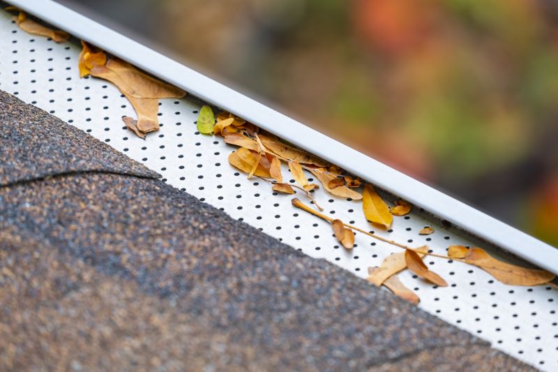 Protecting Your Gutters